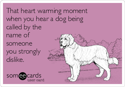 That heart warming moment
when you hear a dog being
called by the
name of
someone
you strongly
dislike.