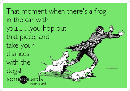 That moment when there's a frog
in the car with
you..........you hop out
that piece, and
take your
chances
with the
dogs! 