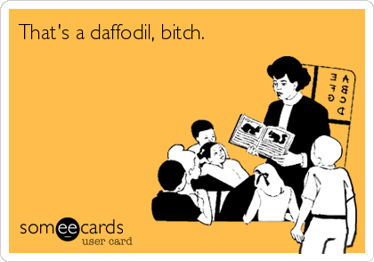 That's a daffodil, bitch. 