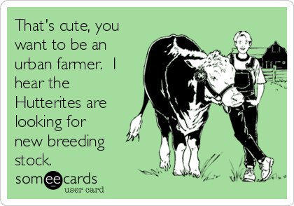 That's cute, you
want to be an
urban farmer.  I
hear the
Hutterites are
looking for
new breeding
stock.
