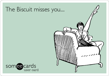 The Biscuit misses you....