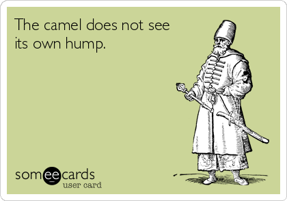 The camel does not see
its own hump.