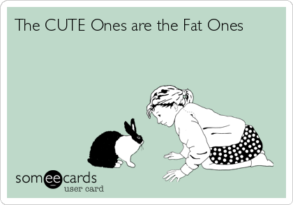 The CUTE Ones are the Fat Ones