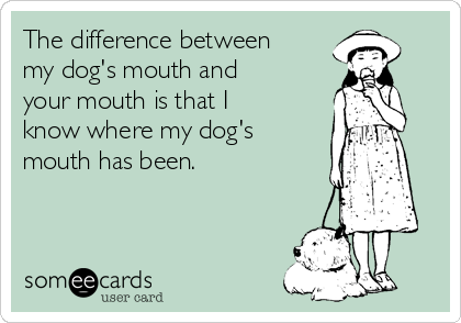 The difference between
my dog's mouth and
your mouth is that I
know where my dog's
mouth has been.