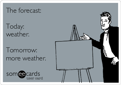 The forecast:

Today:
weather.

Tomorrow:
more weather. 