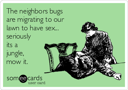 The neighbors bugs
are migrating to our
lawn to have sex...
seriously
its a
jungle,
mow it.