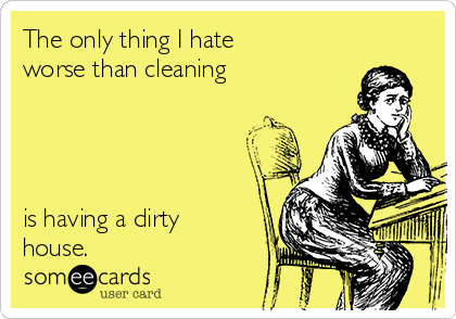 The only thing I hate 
worse than cleaning




is having a dirty
house.