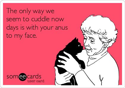 The only way we
seem to cuddle now
days is with your anus
to my face.