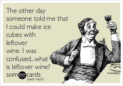 The other day
someone told me that
I could make ice
cubes with
leftover
wine. I was
confused...what
is leftover wine?