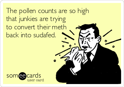 The pollen counts are so high
that junkies are trying
to convert their meth
back into sudafed.
