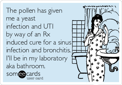 The pollen has given
me a yeast
infection and UTI
by way of an Rx
induced cure for a sinus
infection and bronchitis.
I'll be in my laboratory
aka bathroom. 