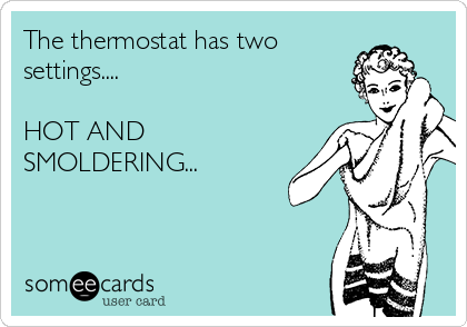 The thermostat has two
settings....

HOT AND
SMOLDERING...