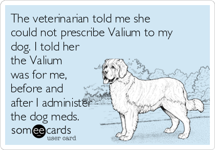 The veterinarian told me she
could not prescribe Valium to my
dog. I told her
the Valium
was for me,
before and
after I administer
the dog meds.
