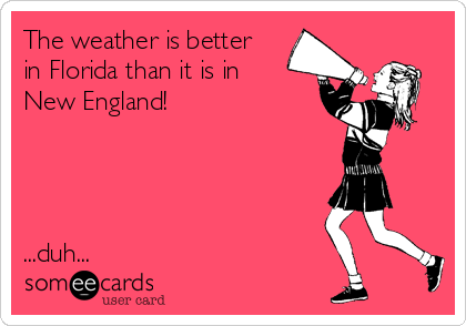 The weather is better
in Florida than it is in
New England!




...duh...