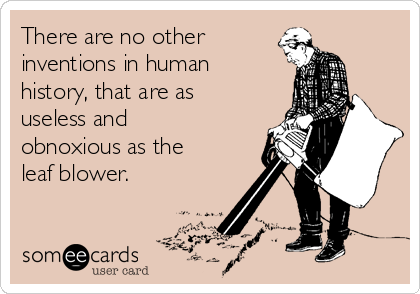 There are no other 
inventions in human
history, that are as
useless and
obnoxious as the
leaf blower. 

