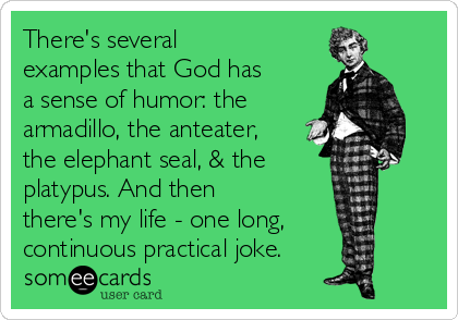 There's several
examples that God has
a sense of humor: the 
armadillo, the anteater,
the elephant seal, & the 
platypus. And then 
there's my life - one long, 
continuous practical joke. 