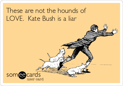 These are not the hounds of
LOVE.  Kate Bush is a liar