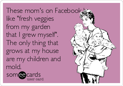 These mom's on Facebook be
like "fresh veggies
from my garden
that I grew myself". 
The only thing that
grows at my house
are my children and
mold. 