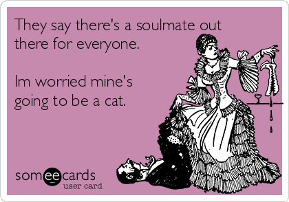 They say there's a soulmate out
there for everyone.

Im worried mine's
going to be a cat. 