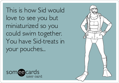 This is how Sid would
love to see you but
miniaturized so you
could swim together.
You have Sid-treats in
your pouches...