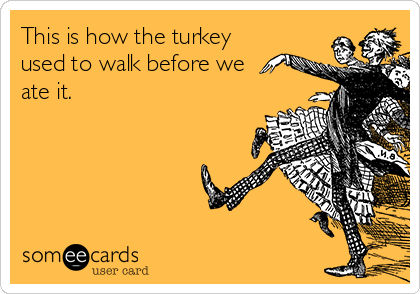 This is how the turkey
used to walk before we
ate it.
