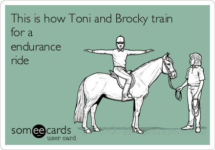 This is how Toni and Brocky train
for a
endurance
ride 