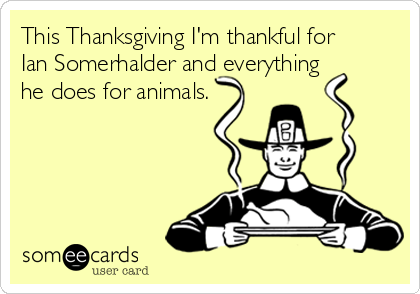 This Thanksgiving I'm thankful for
Ian Somerhalder and everything
he does for animals. 
