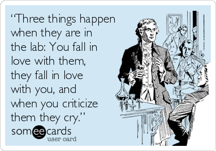 “Three things happen
when they are in
the lab: You fall in
love with them,
they fall in love
with you, and
when you criticize
them they cry.”