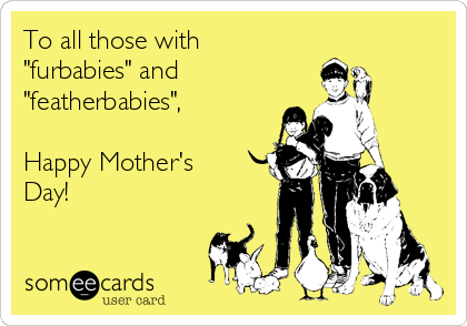 To all those with
"furbabies" and 
"featherbabies",

Happy Mother's
Day!