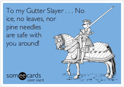 To my Gutter Slayer . . . No
ice, no leaves, nor
pine needles
are safe with
you around!

