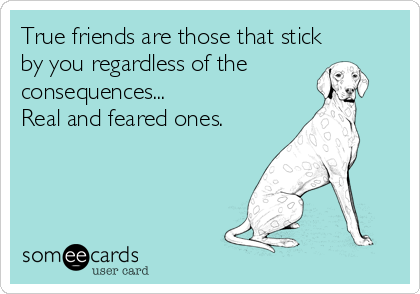 True friends are those that stick
by you regardless of the
consequences...
Real and feared ones.