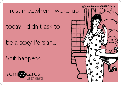 Trust me...when I woke up

today I didn't ask to

be a sexy Persian...

Shit happens.