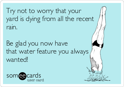 Try not to worry that your 
yard is dying from all the recent
rain.  

Be glad you now have
that water feature you always
wanted! 