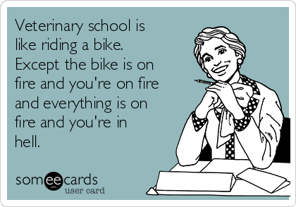 Veterinary school is
like riding a bike.
Except the bike is on
fire and you're on fire
and everything is on
fire and you're in
hell.