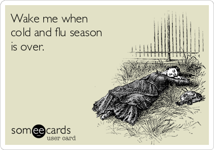 Image result for flu someecards