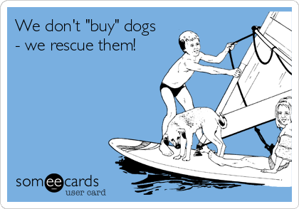 We don't "buy" dogs
- we rescue them!