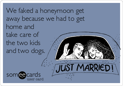 We faked a honeymoon get
away because we had to get
home and
take care of
the two kids
and two dogs.