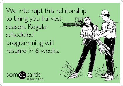 We interrupt this relatonship
to bring you harvest
season. Regular
scheduled
programming will
resume in 6 weeks.
