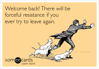 Welcome back! There will be
forceful resistance if you
ever try to leave again.