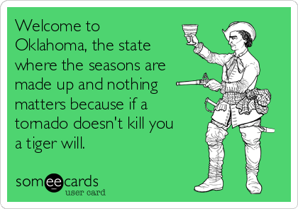 Welcome to
Oklahoma, the state
where the seasons are
made up and nothing
matters because if a
tornado doesn't kill you
a tiger will. 
