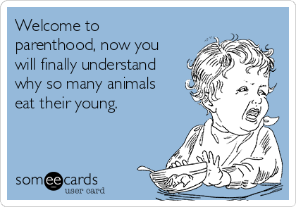 Welcome to
parenthood, now you
will finally understand
why so many animals
eat their young. 
