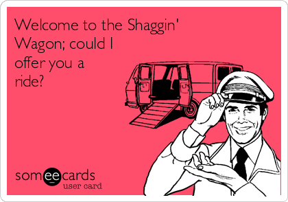 Welcome to the Shaggin'
Wagon; could I
offer you a
ride?