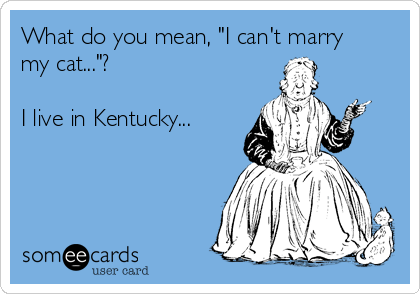 What do you mean, "I can't marry
my cat..."? 

I live in Kentucky...