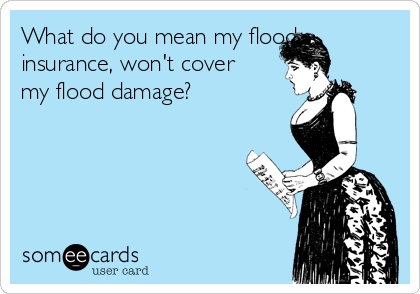 What do you mean my flood
insurance, won't cover
my flood damage? 