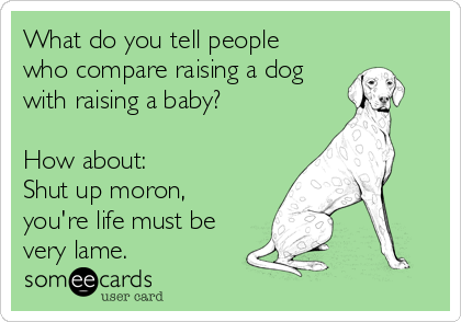 What do you tell people
who compare raising a dog 
with raising a baby? 

How about: 
Shut up moron,
you're life must be
very lame.