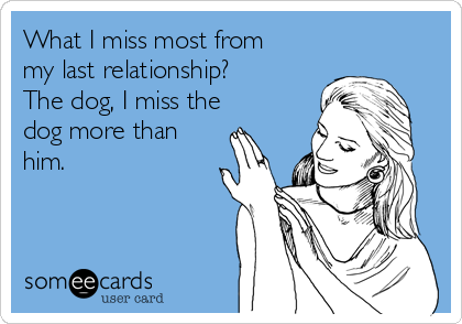 What I miss most from
my last relationship?
The dog, I miss the
dog more than
him. 