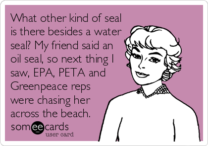 What other kind of seal
is there besides a water
seal? My friend said an
oil seal, so next thing I
saw, EPA, PETA and
Greenpeace reps
were chasing her
across the beach.