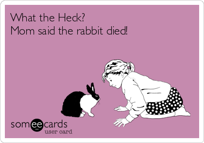 What the Heck? 
Mom said the rabbit died!