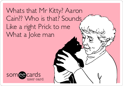 What Went Right With… Mr.Kitty? – WHAT WENT RIGHT WITH…?