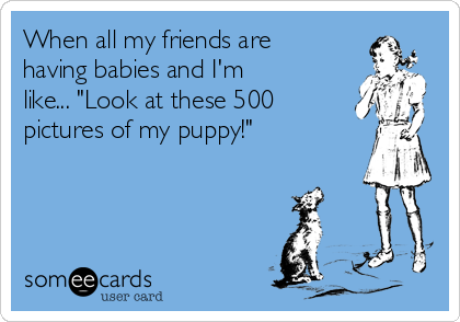 When all my friends are
having babies and I'm
like... "Look at these 500
pictures of my puppy!"